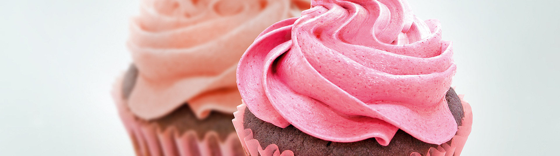 Bakery Biscuits Industry